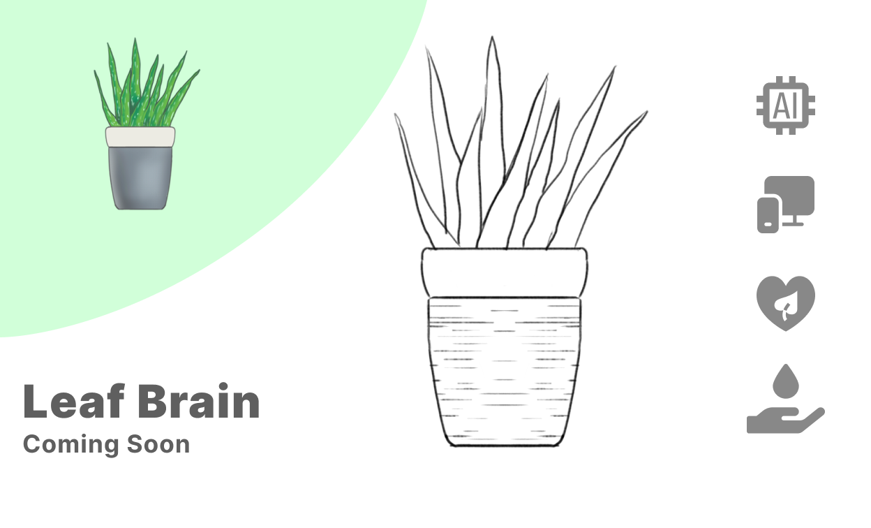 leaf Project thumbnail comming soon